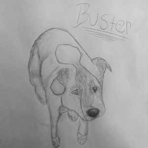 Buster