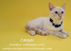 CASPER