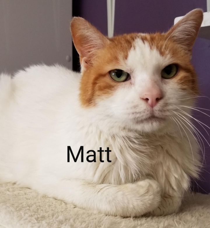 Matt 1