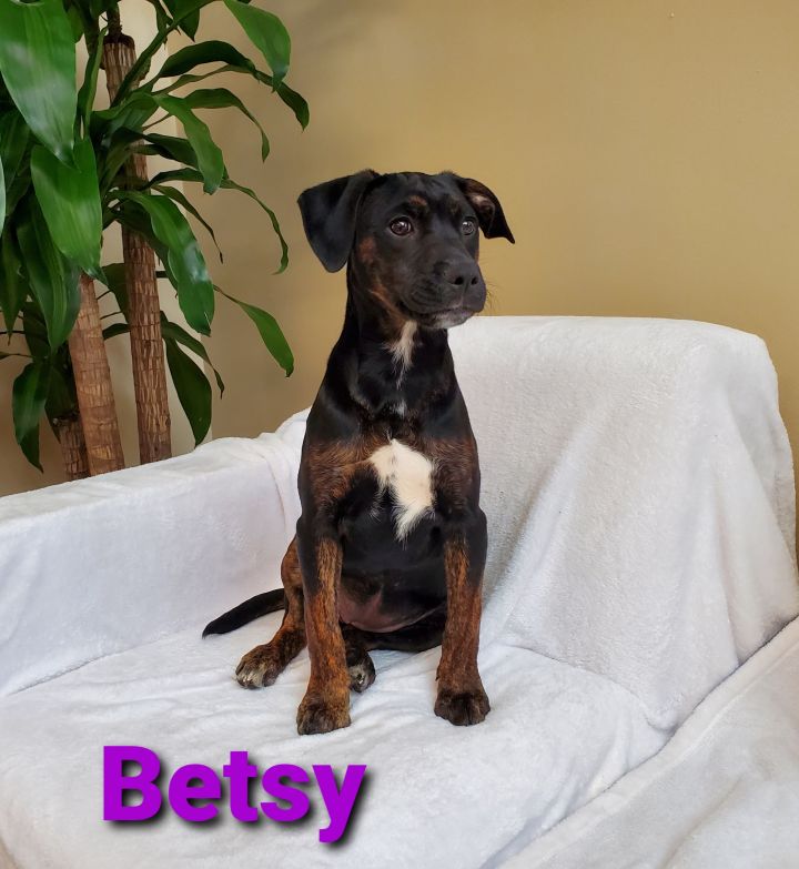 Betsy 1
