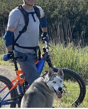 Trained Husky - Courtesy Post Siberian Husky Dog