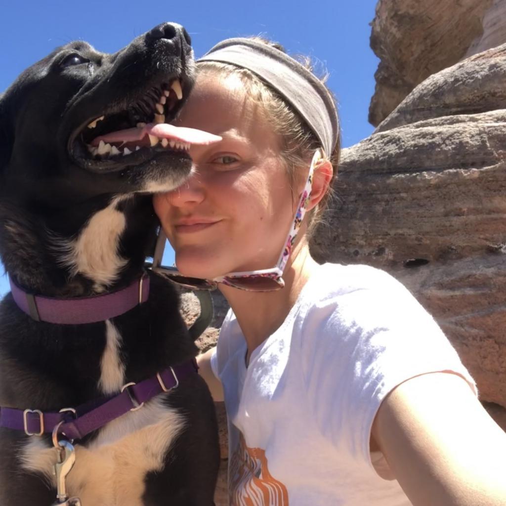 Francesca, an adoptable Labrador Retriever, Collie in Kanab, UT, 84741 | Photo Image 6