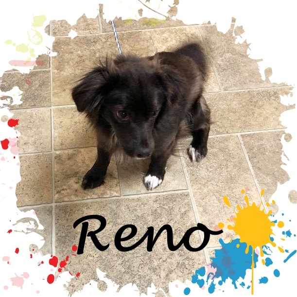 Reno detail page