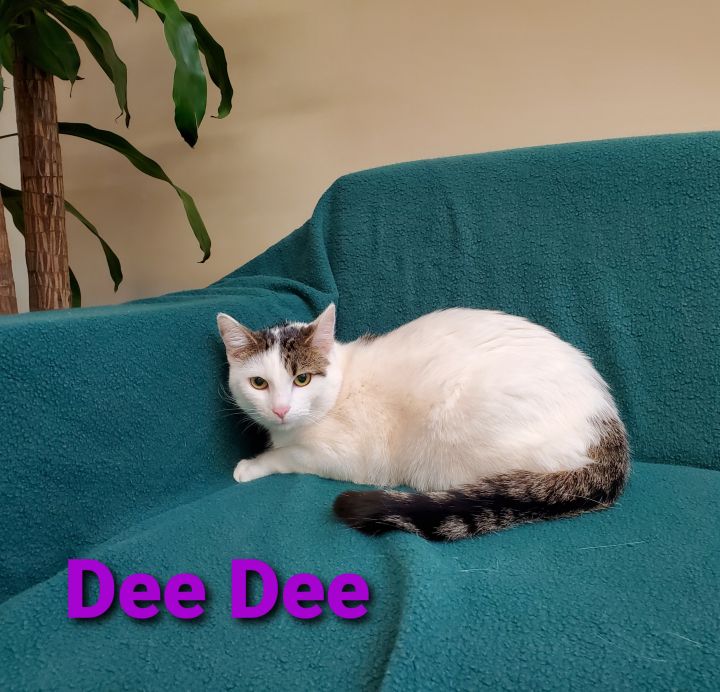 Dee Dee 1