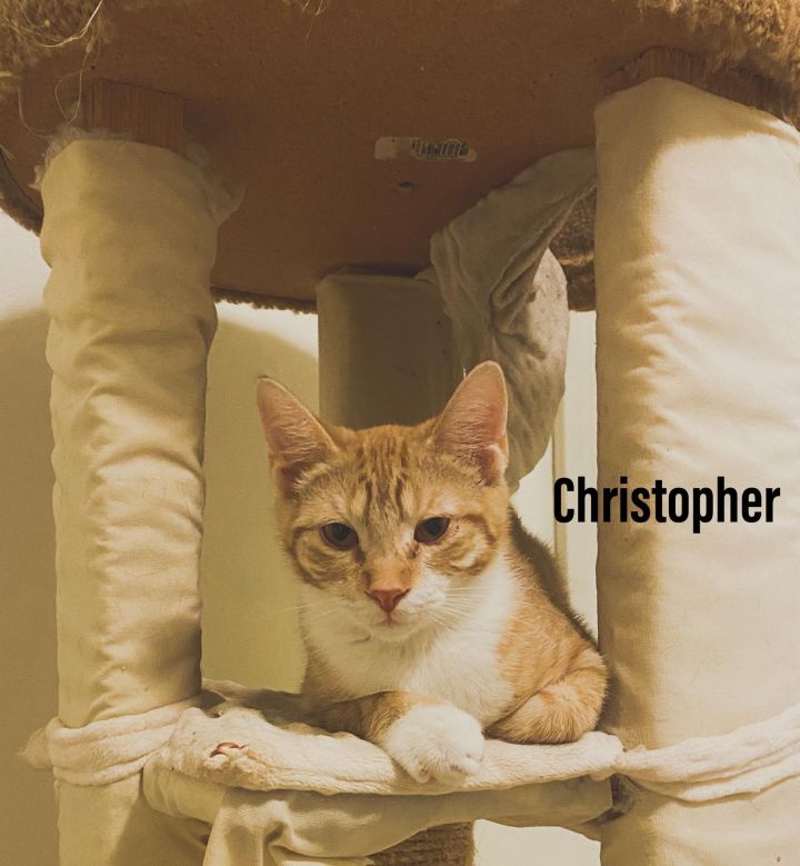 Christopher 1