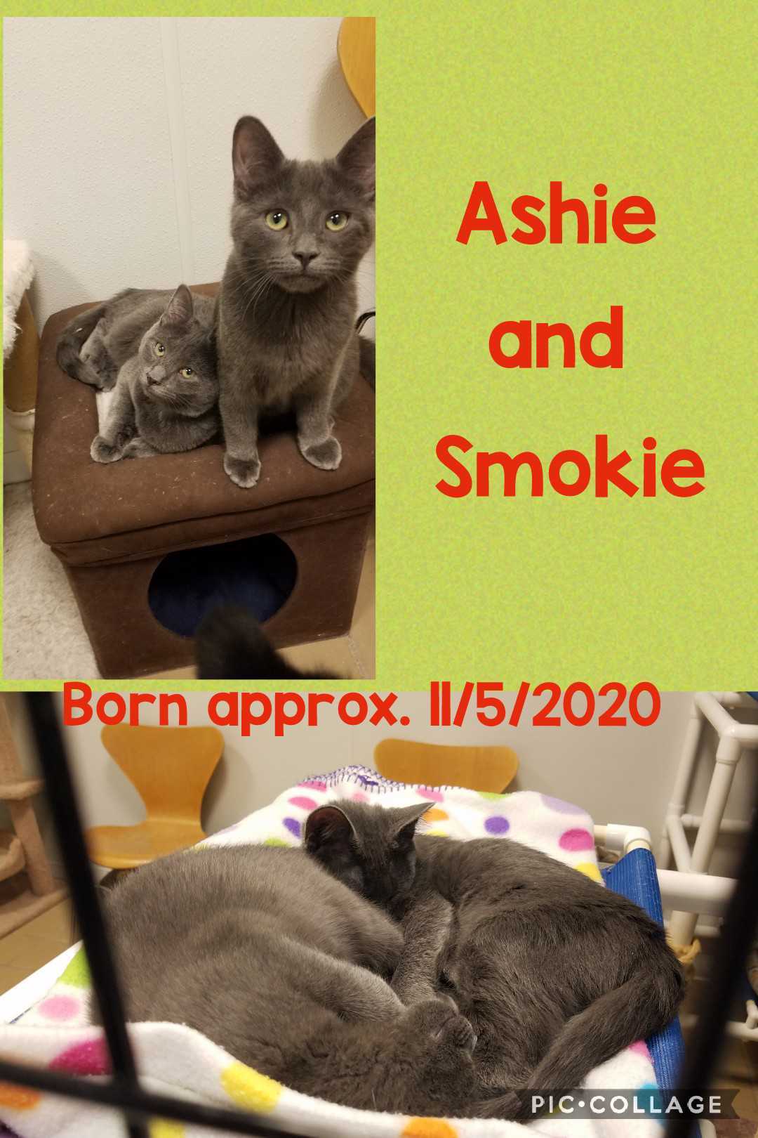 Ashie And Smokie detail page
