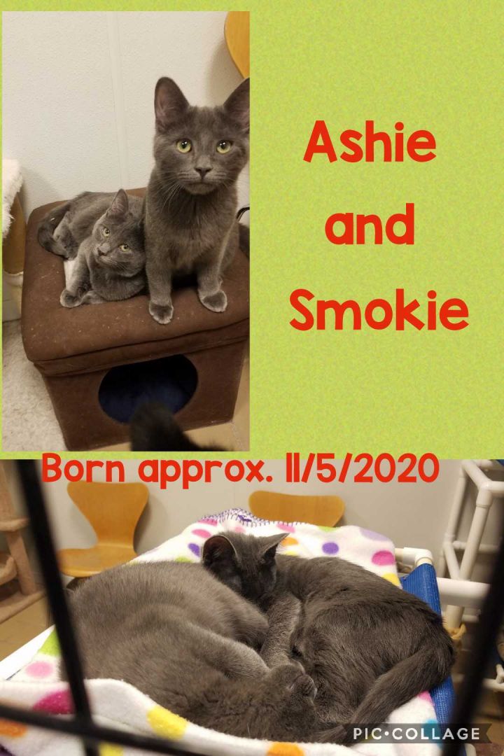 Ashie and Smokie 1