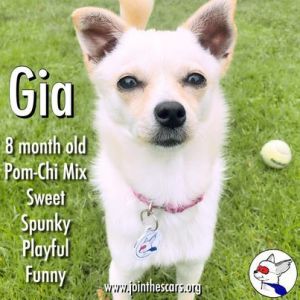 Gia