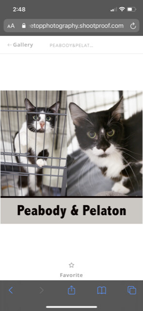 Peabody detail page