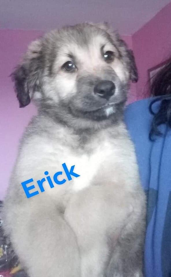 Erick 1