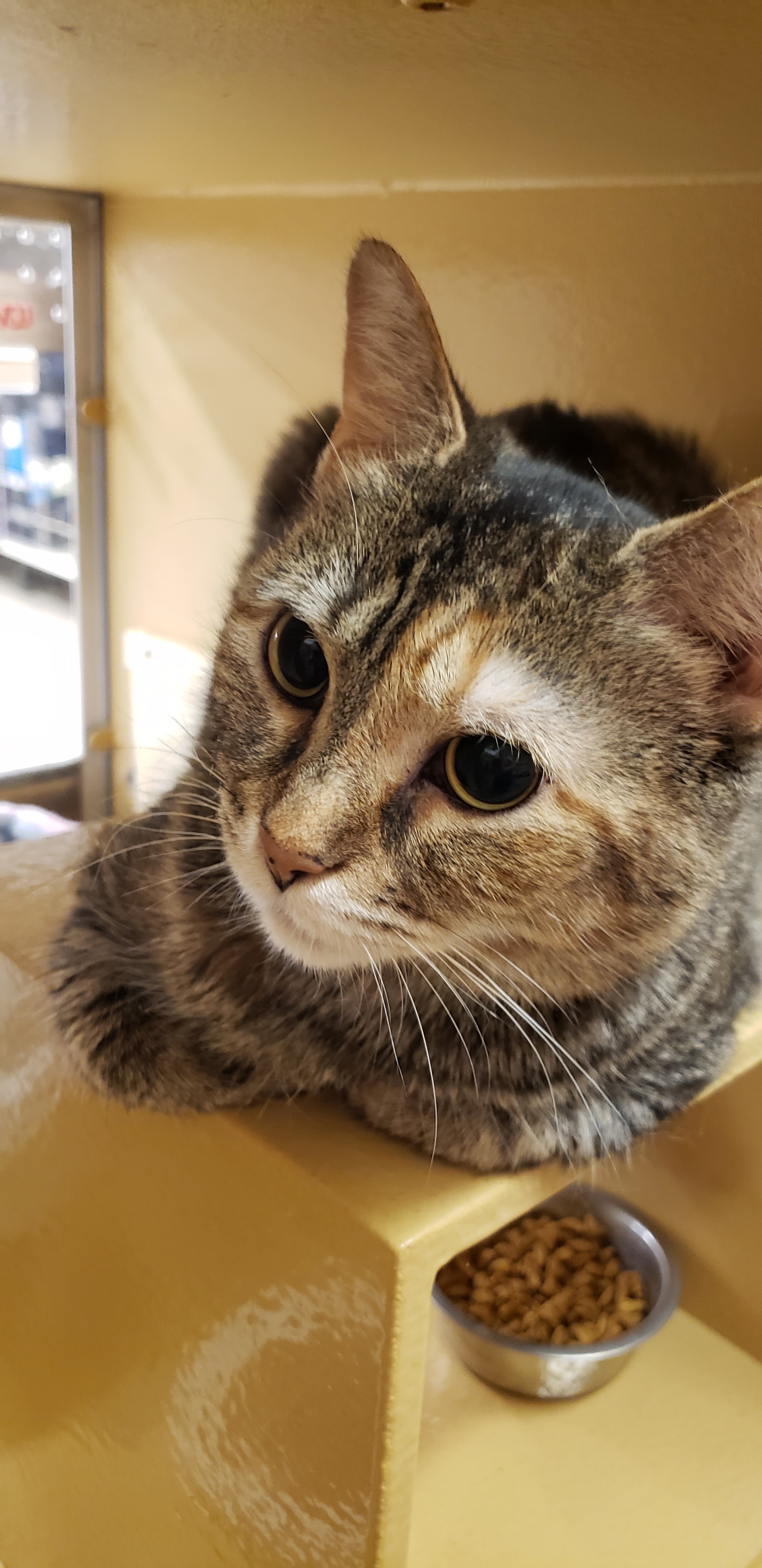 Cleo