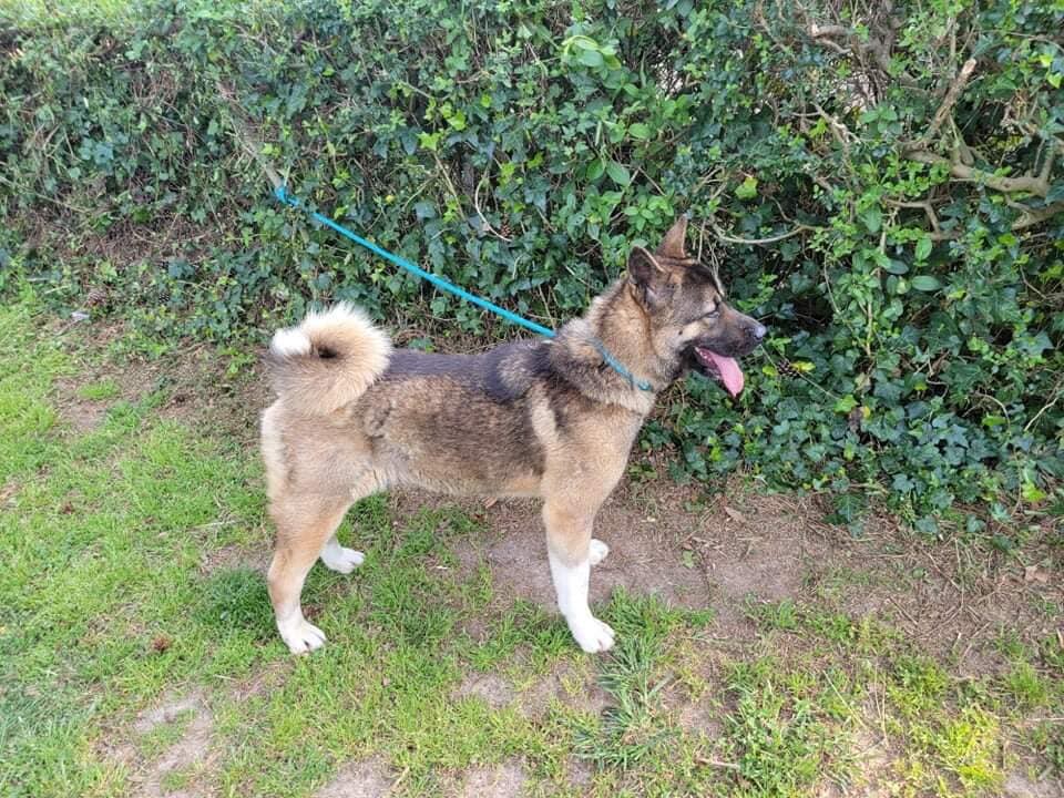 Xena