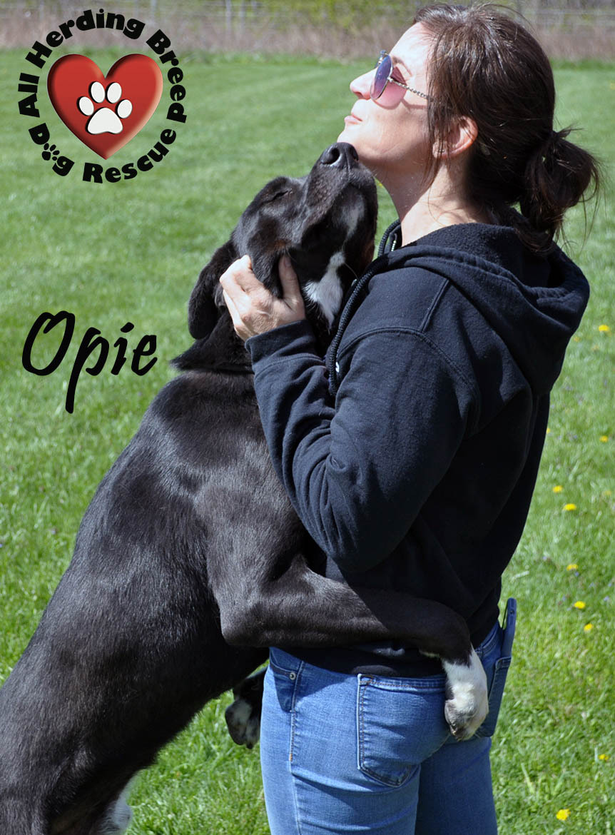 Opie detail page