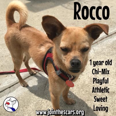 Rocco 3
