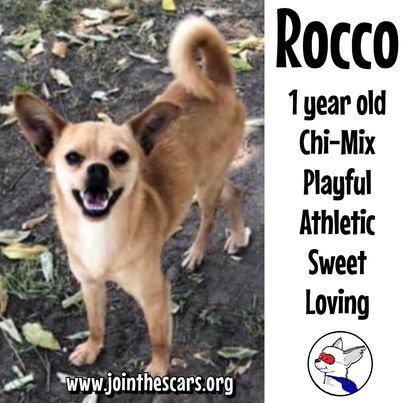 Rocco 4