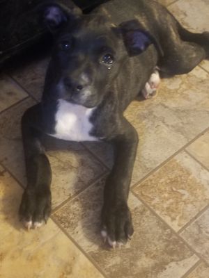 Pretty girl