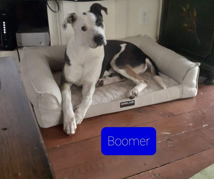 Boomer 1