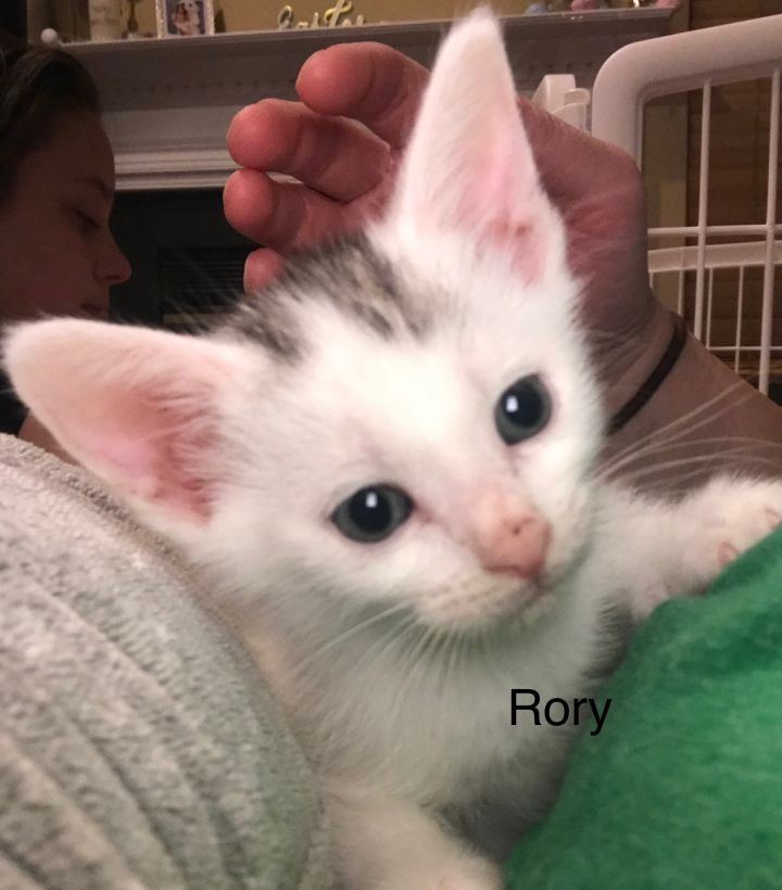 Rory 1