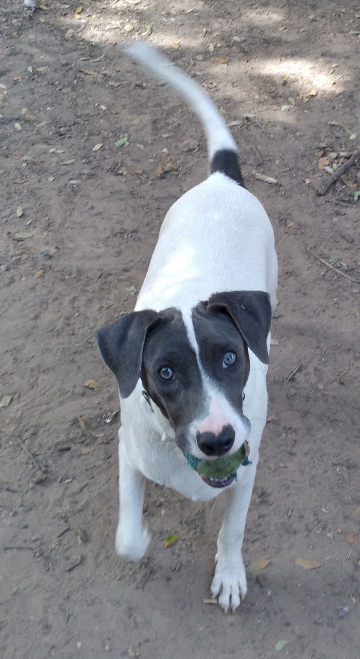 Moby in TEXAS 1