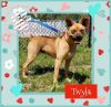 Twyla