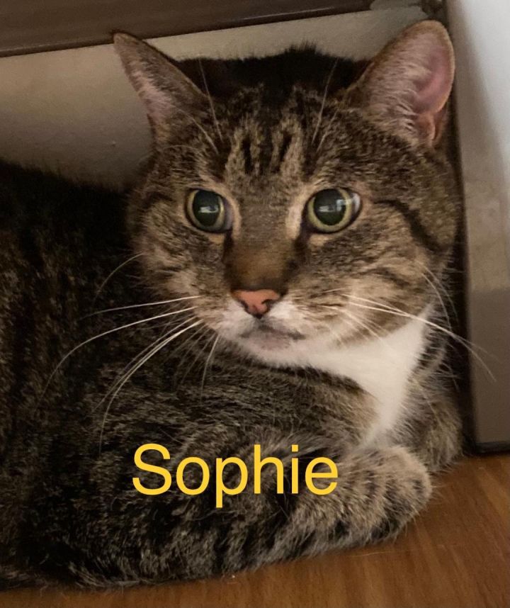 Sophie 2