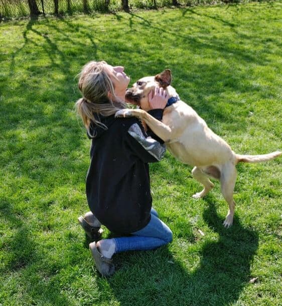 Buddy, an adoptable Mountain Cur in Rochester, NY, 14624 | Photo Image 4