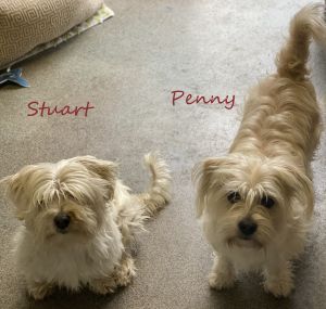 Penny (& Stuart)