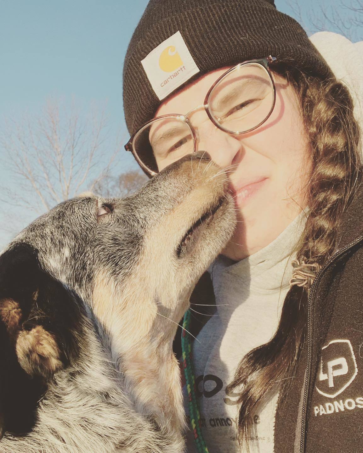 Cooper, an adoptable Cattle Dog in Holland, MI, 49424 | Photo Image 1