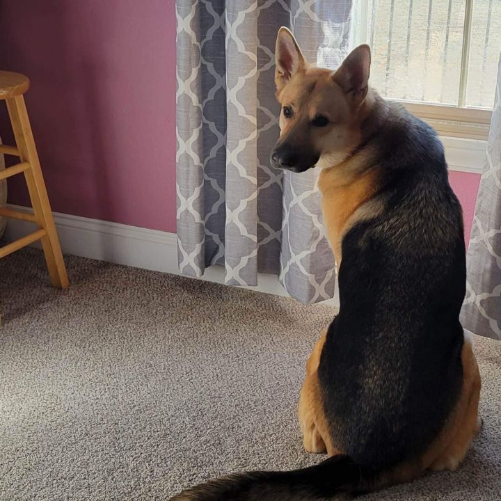 Tali 3