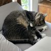 Luna photo 3