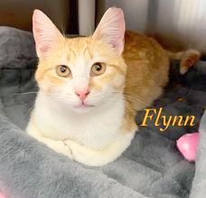 Flynn