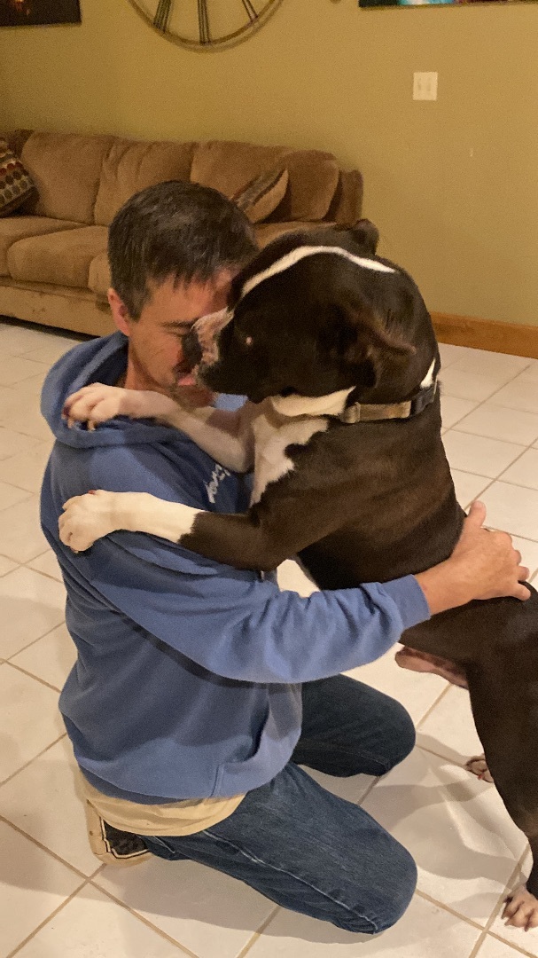 Tank, an adoptable Pit Bull Terrier in Utica, OH, 43080 | Photo Image 5