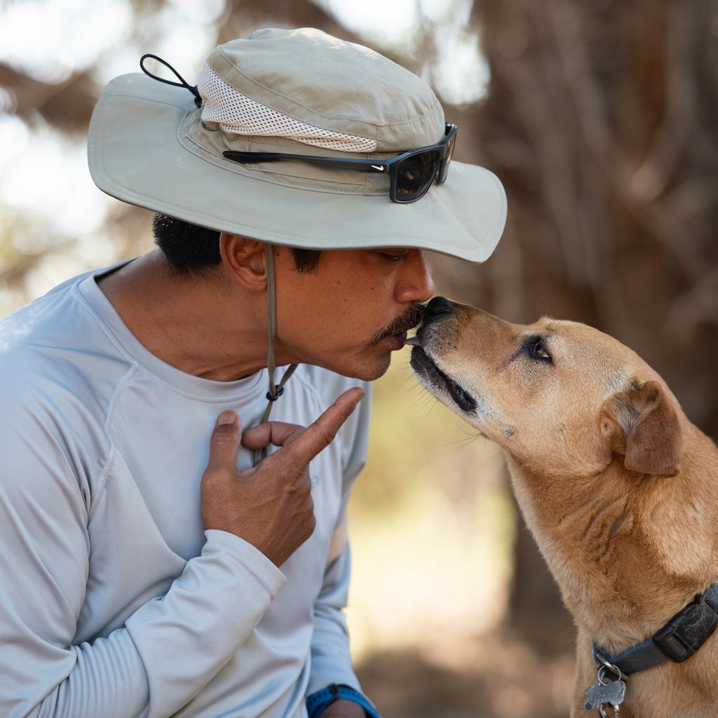 Destiny, an adoptable Labrador Retriever, Shar-Pei in Kanab, UT, 84741 | Photo Image 3