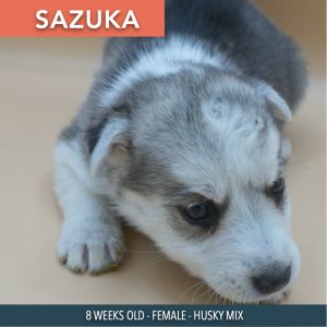 Sazuka