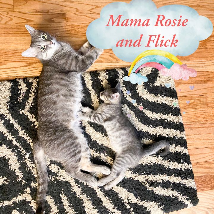 Mama Rosie and Flick 2