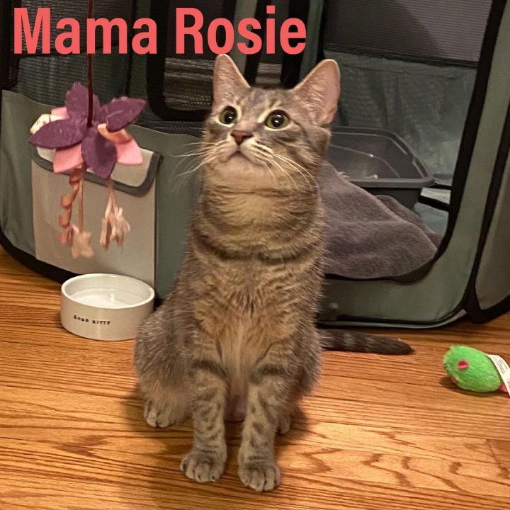 Mama Rosie and Flick 5