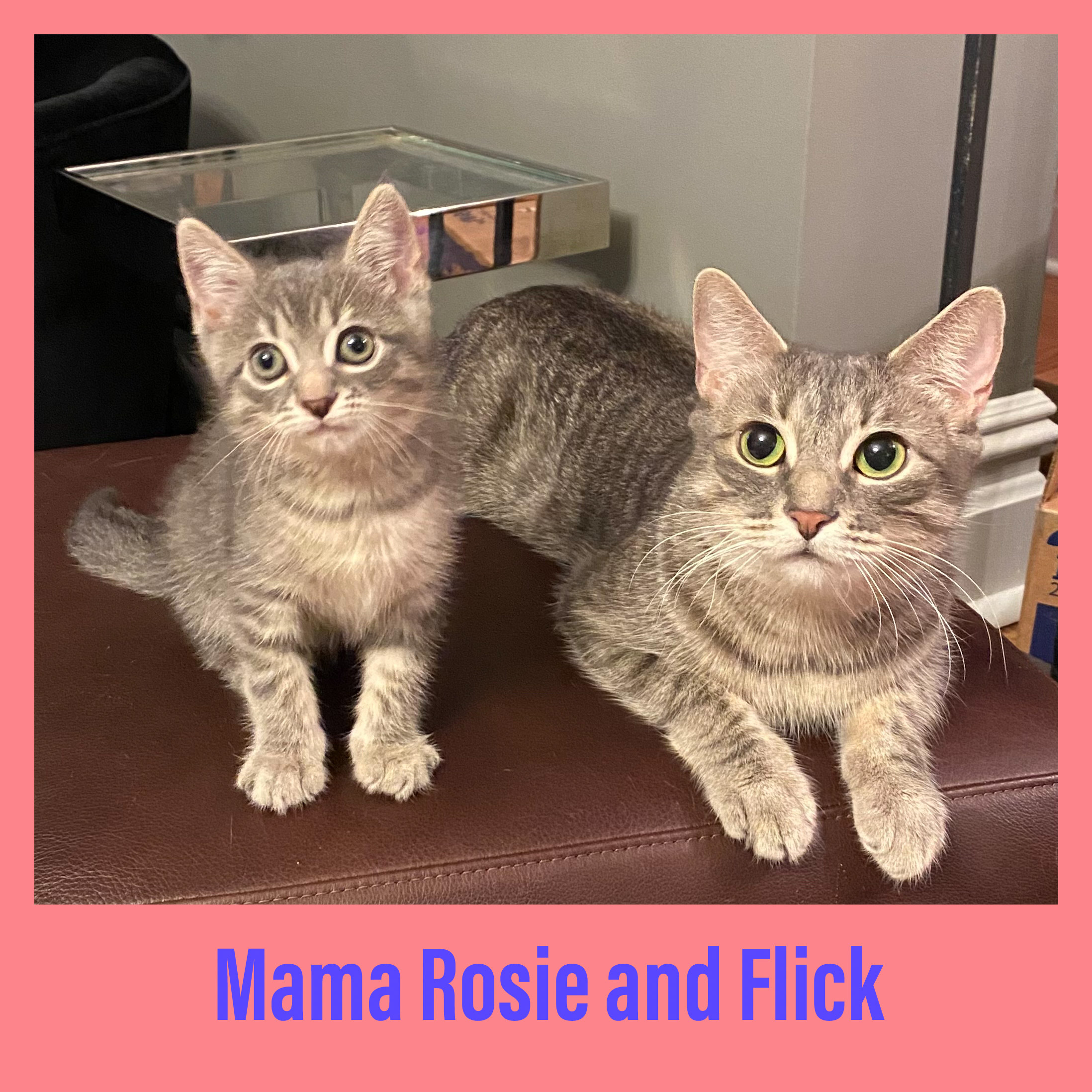 Mama Rosie And Flick detail page