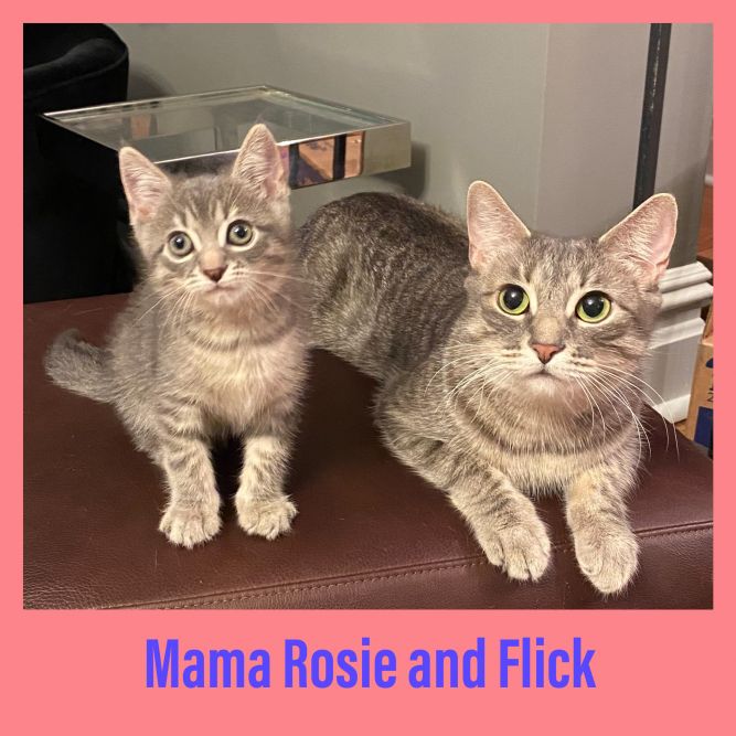 Mama Rosie and Flick