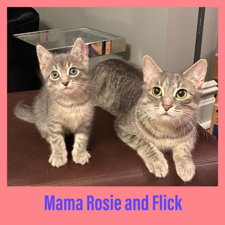 Mama Rosie and Flick 1