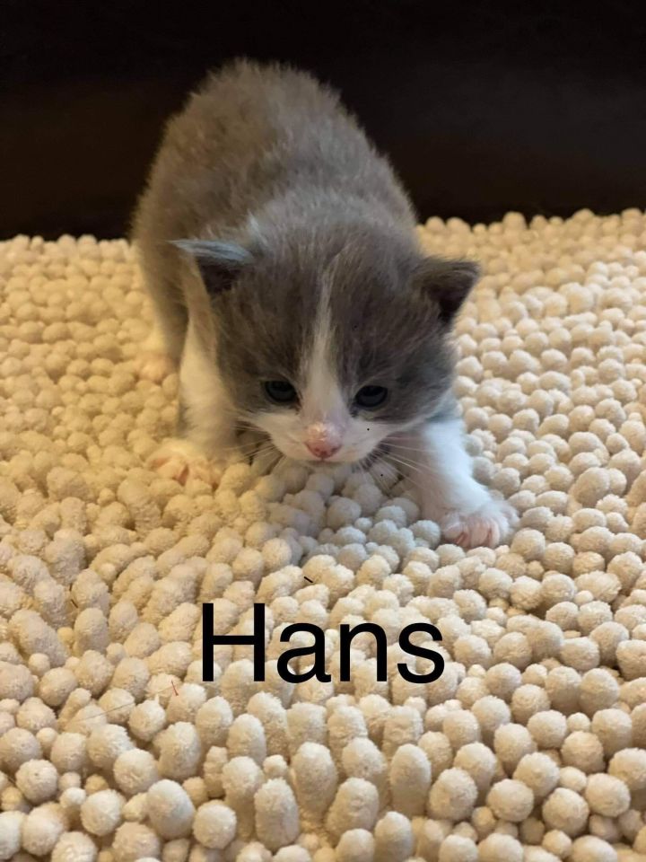 Hans 2