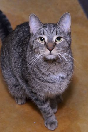 Frieda
