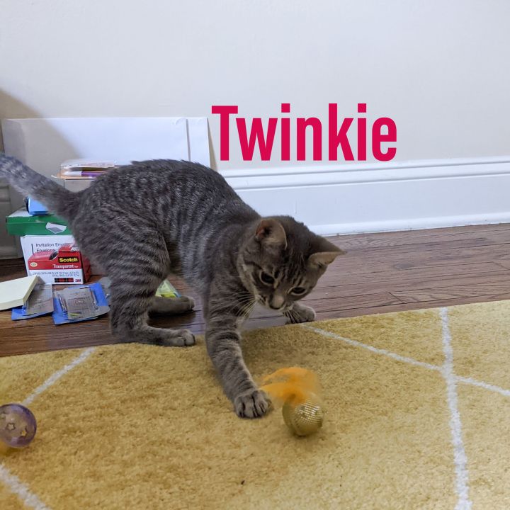 Twinkie 3