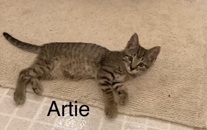 Artie 2