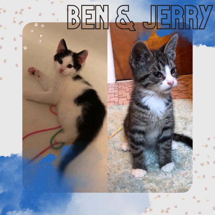 Ben&Jerry 2