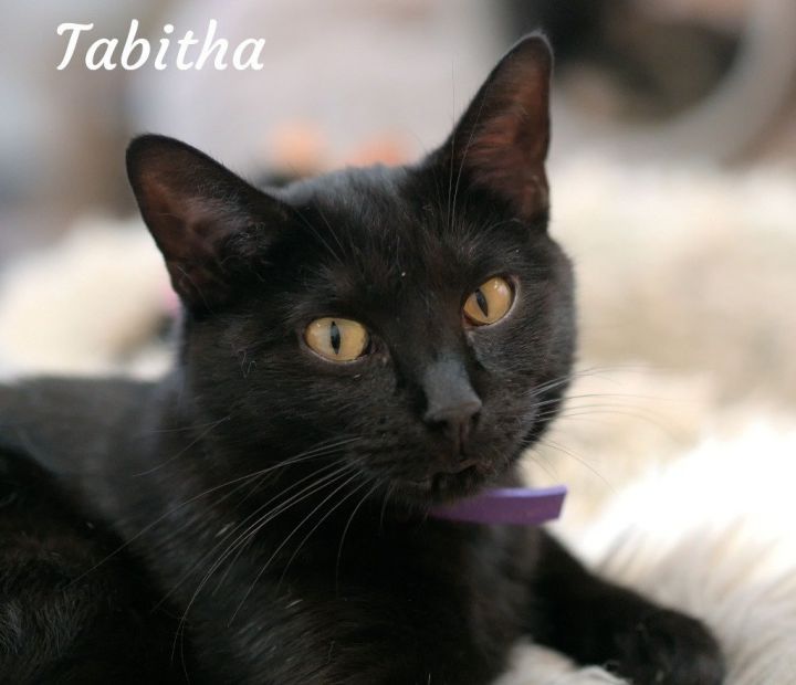 Tabitha 1