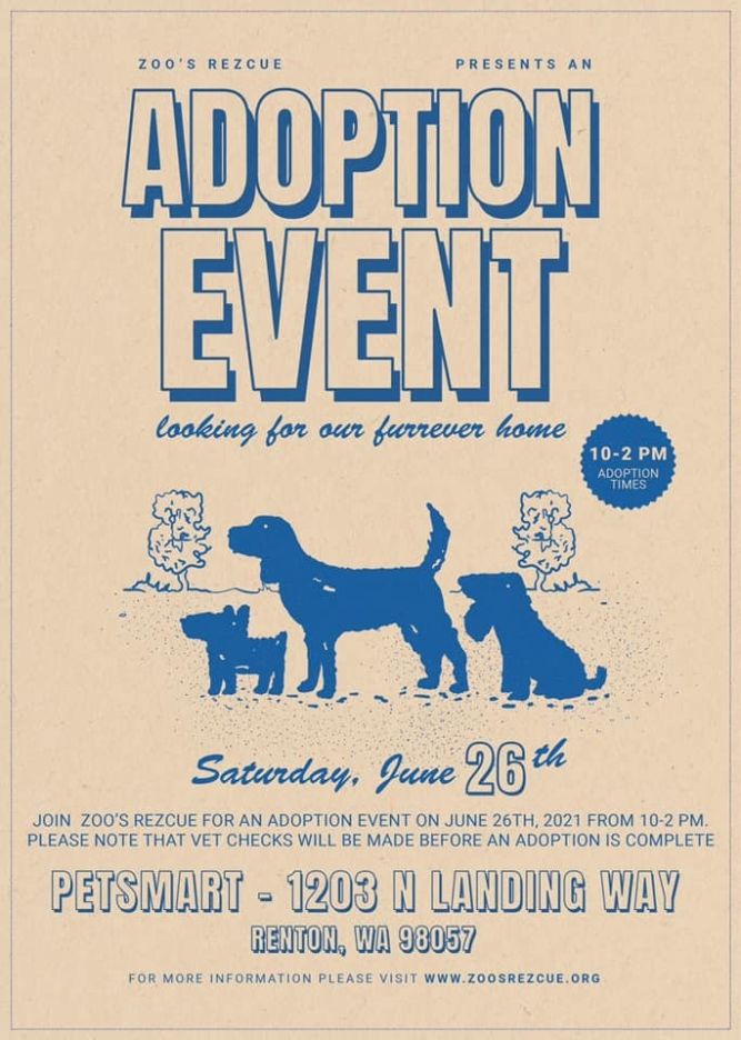 Dog For Adoption Petsmart Adoption Event A Mixed Breed In Renton Wa Petfinder