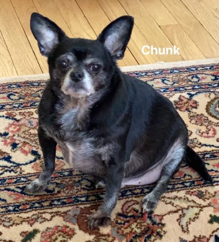 Charlie Chunk 2