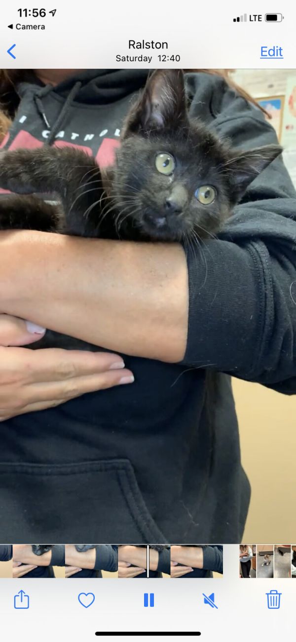 Sirius