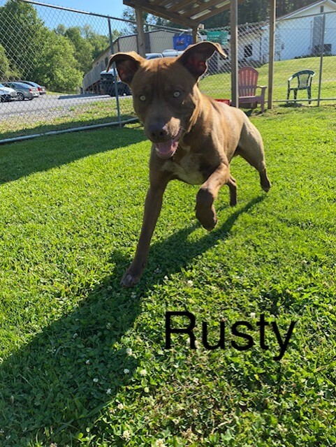 Rusty 1