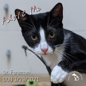 Dr. Foreman